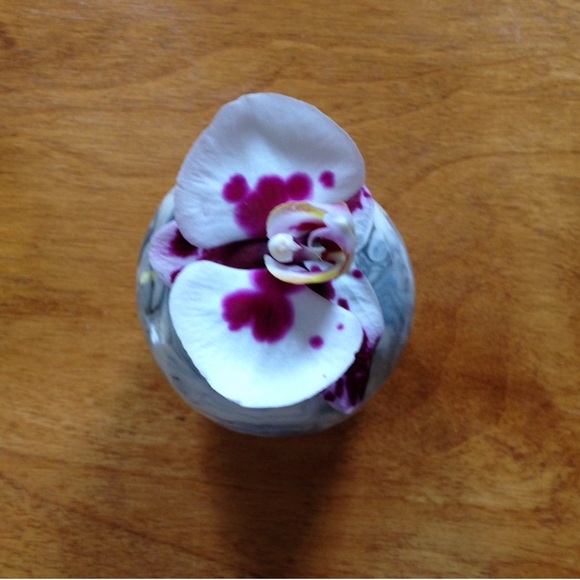 Meet your Posher, Laura - Picture 13 of 13